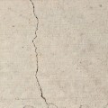 Cracks in Concrete: What You Need to Know