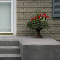 How much does it cost to repair concrete steps?
