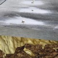 How Long Does Concrete Repair Last?
